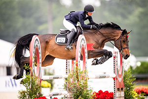 A professional rider on a horse